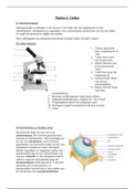 Biologie VWO 4 Thema 2 Cellen (Biologie voor jou)