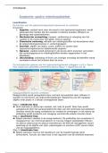 Anatomie en fysiologie gastro-intestinaalstelsel