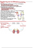 Samenvatting  Anatomie, Fysiologie, Pathalogie