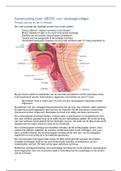 Samenvatting van het boek ABCDE voor verpleegkundigen, voor de keuzecursus Vitaal Bedreigd