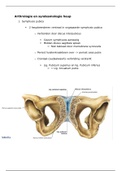 kinesiologie deel 2: de heup 