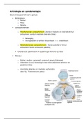 artrologie en syndemyologie knie