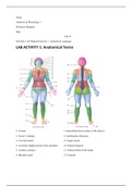 ANATOMY 251 LAB ACTIVITY 1