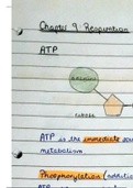 Aerobic and Anaerobic Respiration