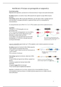 Samenvatting menselijke genetica (1058FBDBMW)