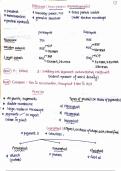 Ribosomes & plastid summary notes