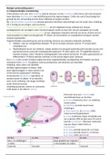 Samenvatting biologie voortplanting en genetica. 