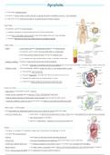 Lymphatic System NOTES