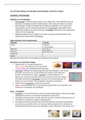 Samenvatting: microbiologie, parodontologie, preventie en plaque