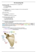 Samenvatting Fysiotherapie schoudergordel