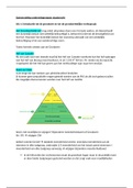 theorie onderwijsgroepen staatsrecht