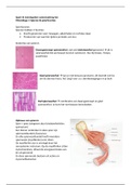 Samenvatting  Sport & Trainingsleer