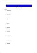 ADN 271A Exam 4 Focus Points