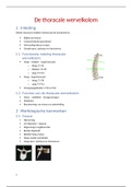 Samenvatting Thoracale wervelkolom (D. Lambeets)