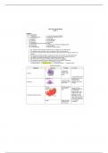 Bio 181 Cellular Components of a cell worksheet 