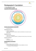 Samenvatting  OWM-A: Pedagogisch handelen