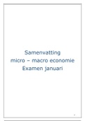 micro macro economie complete samenvatting 