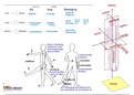 Lichaamsassen + lichaamsvlakken + bewegingen