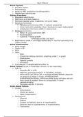 NURS 317 L Quiz 5 Renal Study Guide