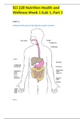 SCI 228 Nutrition Health and Wellness Week 1 iLab 1, Part 1 LATEST VERSION (A+ Work).