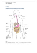 SCI228: Nutrition, Health, and Wellness iLab Assignment - Best for 2021