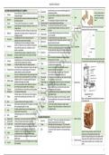 Part 2 Building Technology Refresher Notes for Architects Licensure Examination