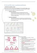 Immunologie 2: monoklonale antilichamen