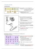 Moleculaire genetica (behaald resultaat: 14/20)