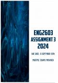 ENG2603 Assignment 3 2024 | Due 13 September 2024