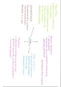 Cell Structure and Organelles