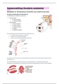 Bundel samenvattingen Oculaire anatomie (Jaar 1 blok C)