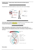 het ouderwordende oog casus 2 - visuele banen, gezichtsvelden en neurologische aandoeningen