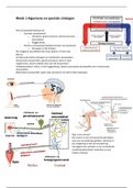 Samenvatting Anatomie fysiologie pathologie