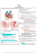 Nursing 306 OB 2 Exam 2 StudyGuide OB Hartman GOLD