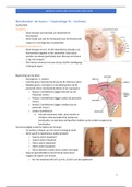 Samenvatting Module vasculaire pathologie_Vanhoeij 