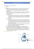 Samenvatting 'Module vasculaire pathologie_Adrieanssens 