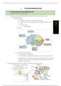 Samenvatting Neuropsychology and Psychopharmacology