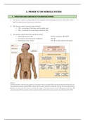 Samenvatting Neuropsychology and Psychopharmacology