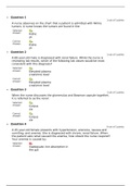 NUR 6501 Quiz 10 Answers 