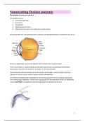 Oculaire anatomie: de Lens en Cataract
