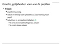 aanvullende powerpoints/ dia's handboek H4