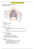 NUR 308 - Adult Health 2 Exam 3 Study Guide.