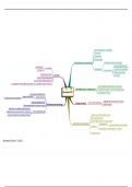 Mindmap bouwstenen WO