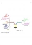 Mindmap WO - leergebieden, domeinen en clusters