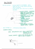 Life Sciences: Mitosis & Meiosis