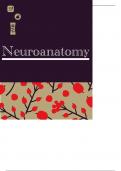 NEUROANATOMY FOR MBBS PROFF 1