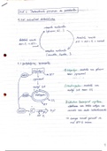 Samenvatting Industriële microbiologie (deel 2)