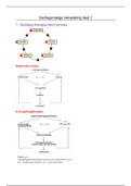 Samenvatting deel 2 gedragsmatige benadering