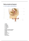Samenvatting  Natuurwetenschappen (voortplanting vrouw + geboorte)