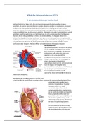 klinische interpretatie van ecg's